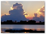 dawn
