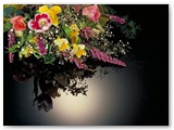 floral1