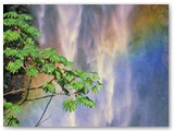 hawaiiwaterfall
