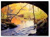 streamfall