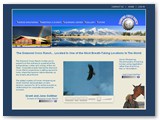 website-03